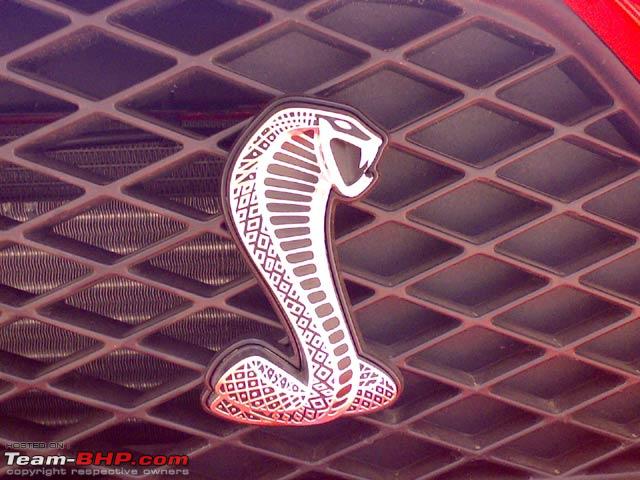mustang cobra logo. mustang cobra emblem.