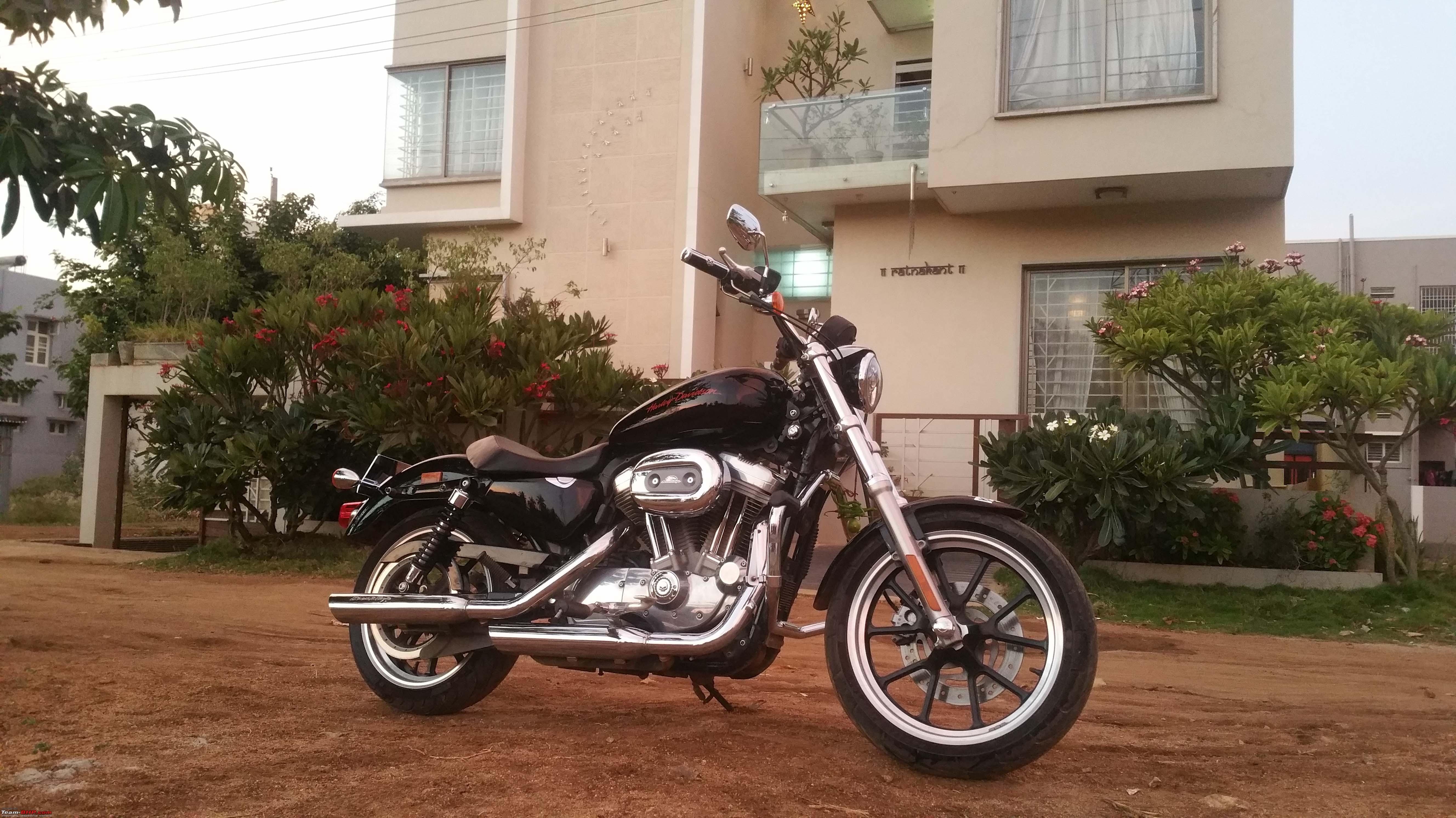 harley davidson single seat
