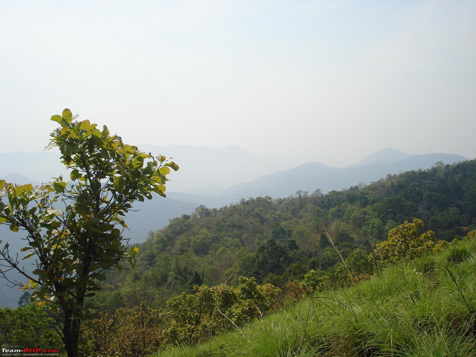 Jenukallu Gudda