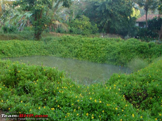 Image Result For Inchara Family Garden