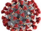 The Coronavirus Vaccine Thread