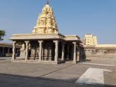 15-day South India temple tour?
