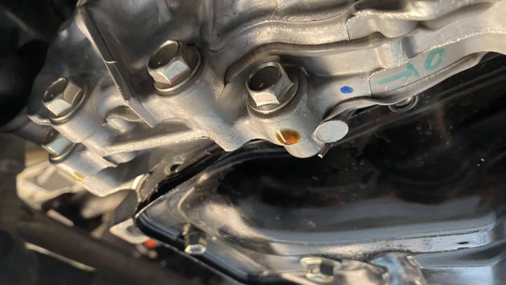 15 days old Maruti Grand Vitara Strong Hybrid engine failure: Now what? 