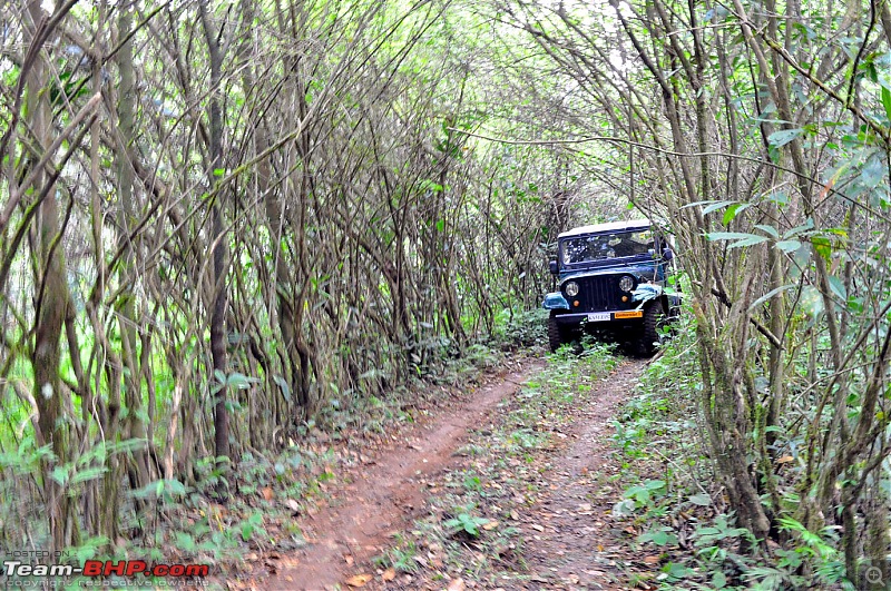 Jungle Mount OTR (Kakabe) 2012: A Pictorial Report!-dsc_0153.jpg