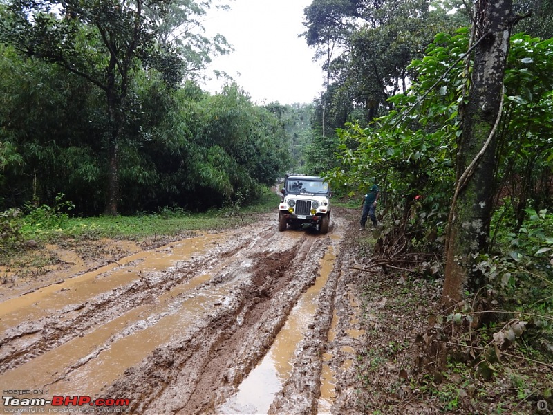 Wayanad Annual Monsoon OTR - 2013!-029.jpg