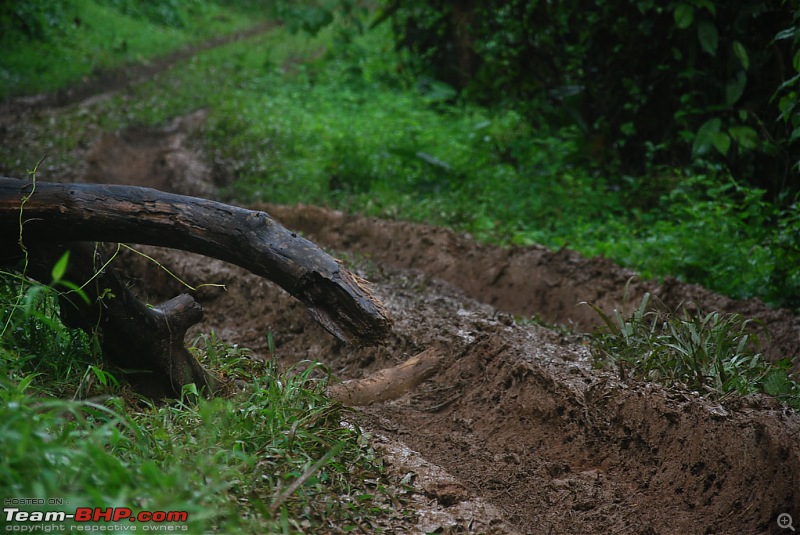 Wayanad Annual OTR'13 - Event Report-dsc_0118.jpg