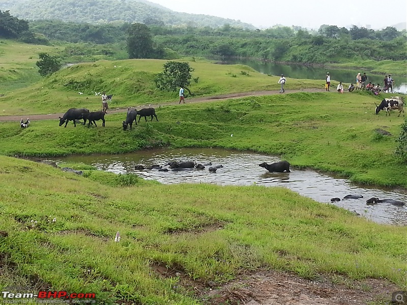 Extreme Offroaders Slush Fest - 30th June, 2013-13.jpg