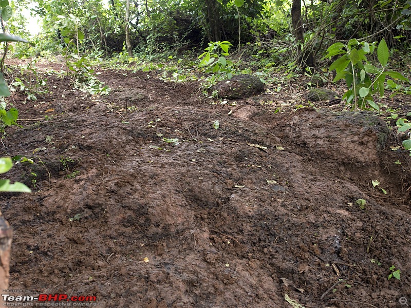 Report: The 2014 Rain Forest Challenge @ Goa-p8110671.jpg
