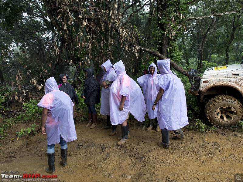 Report: The 2014 Rain Forest Challenge @ Goa-p8120704.jpg