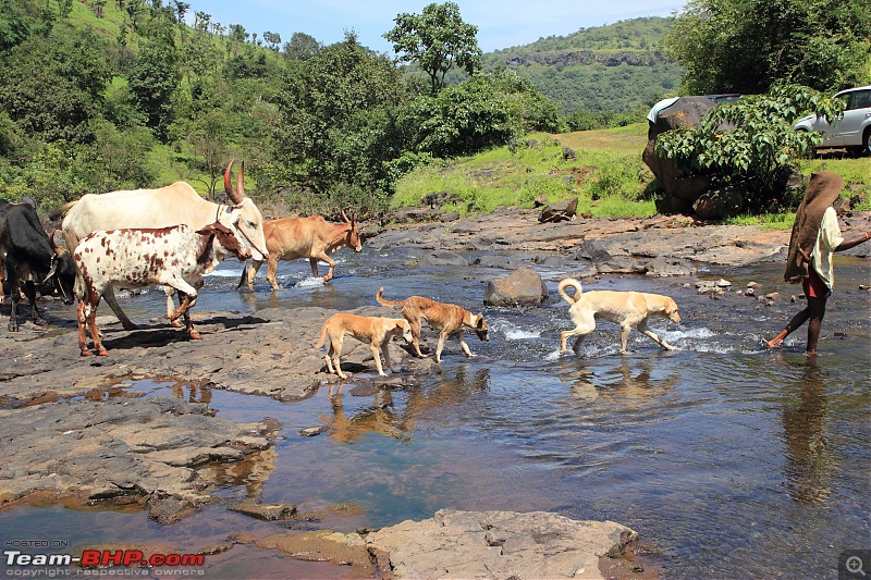 2 Grand Vitaras go offroading - At Panshet Lake-033-held-up-traffic-crossingcompressed.jpg