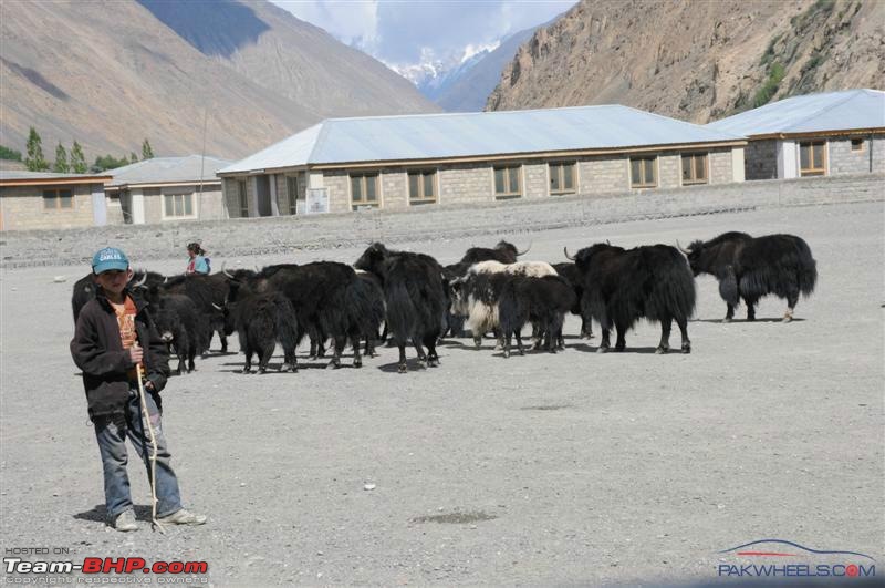 Islamabad Jeep Club Summer Camp: Shimshal, Khunjerab and Naltar-dsc_4481.jpg