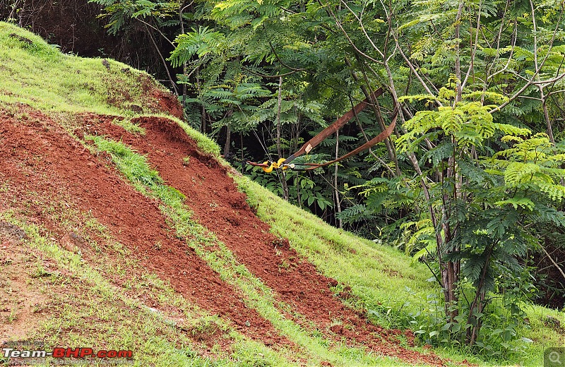 Report: The 2016 Rain Forest Challenge @ Goa-p7260174.jpg