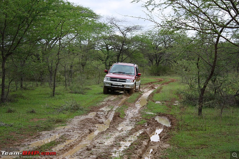 OTR Report: (Bangalore) Arenara-Indlibele Lake Bed, 23 Aug 2009-img_9920.jpg