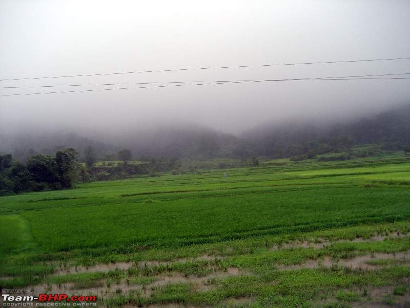 The Monsoon OTR - Hill climbings, stream crossing in rain with lots of pain...-img_0013.jpg