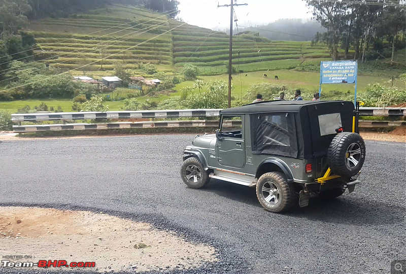 Nilgiris Expedition | Simplicity is the ultimate sophistication-thar-newly-laid-tar.png