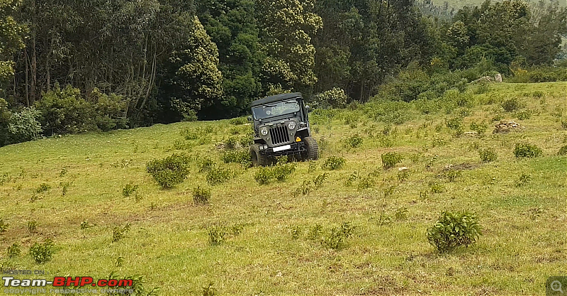 Nilgiris Expedition | Simplicity is the ultimate sophistication-tn-grass.png