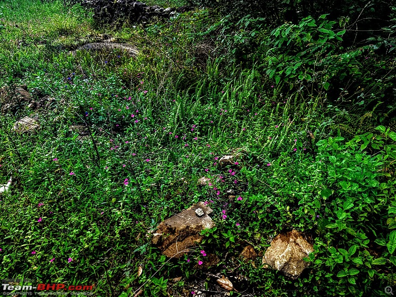 4 Men, 1 4x4 Machine, a Shaniwar at Somwarpete-florabeauty.jpg