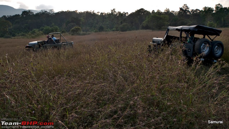 Offroading at Kakkabe/Coorg: A Report-pc203762.jpg