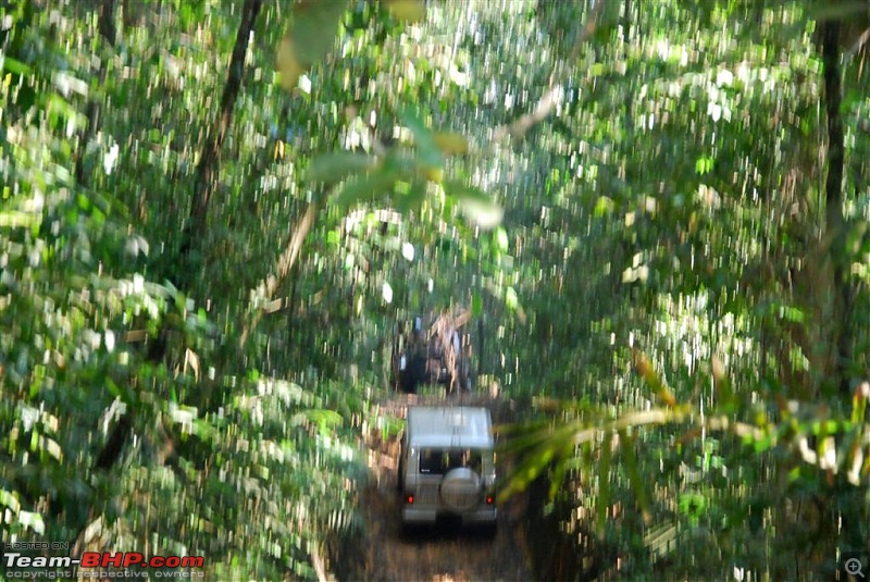 Mud Plunging GOA STYLE-dsc_0074-large.jpg