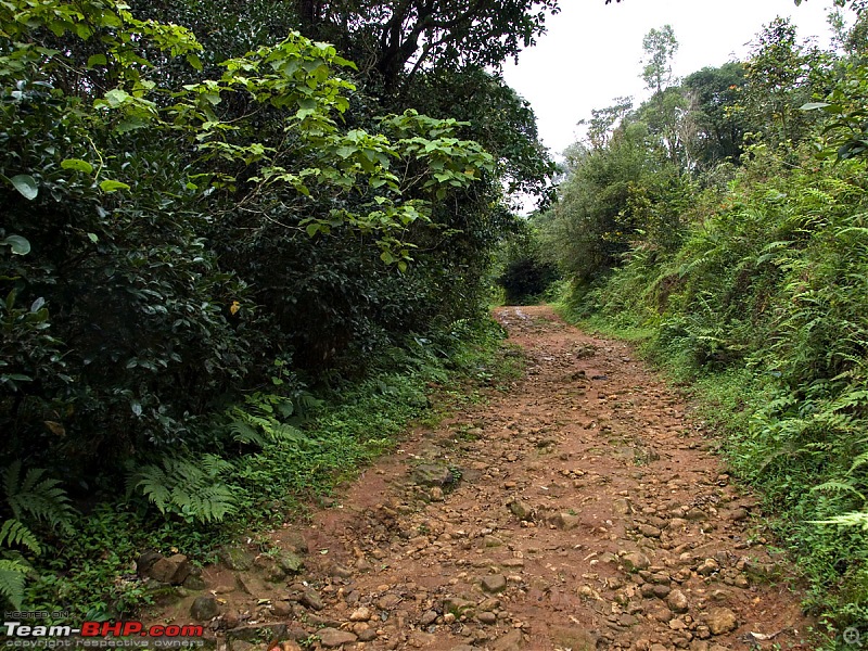 Offroading into the Clouds at Choma Kunda-Coorg-p7131230.jpg