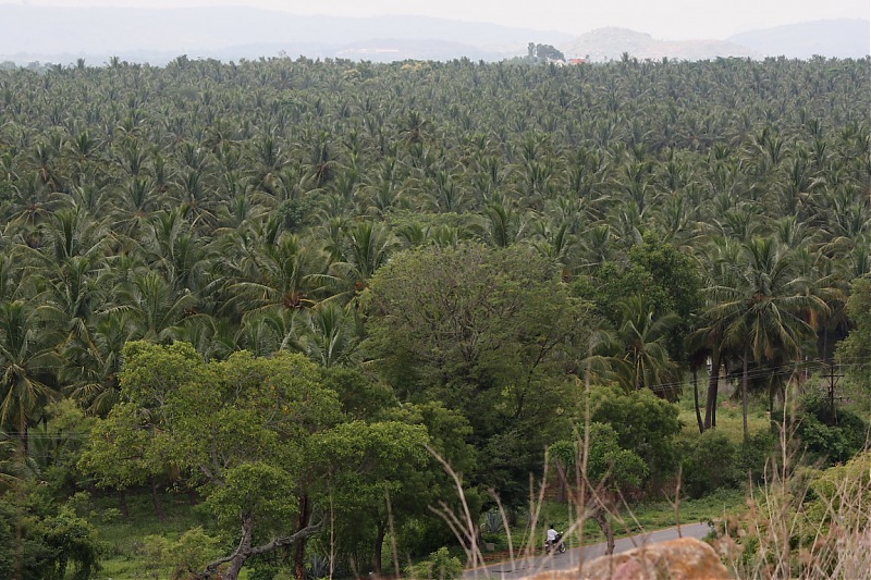 Offroading Recce -Bande Basappana Doddi, Off Kanakapura-img_1363.jpg