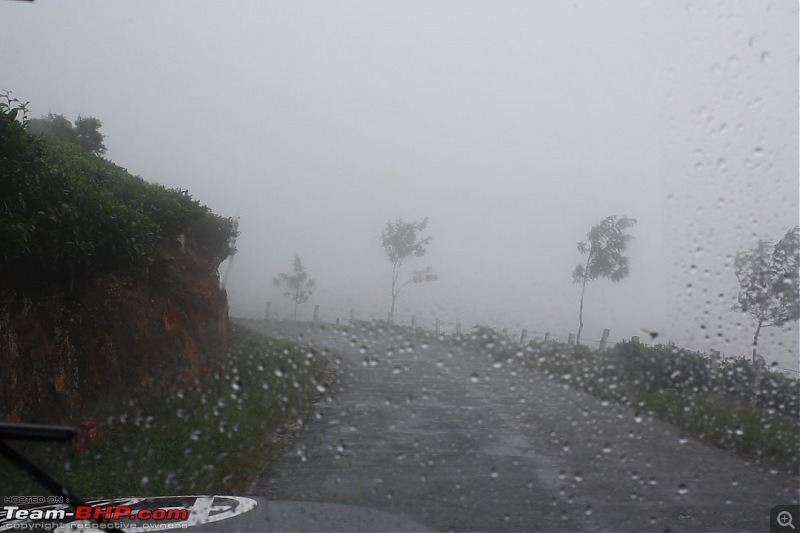 Munnar Monsoon Magic! Updated!-mmm16.jpg