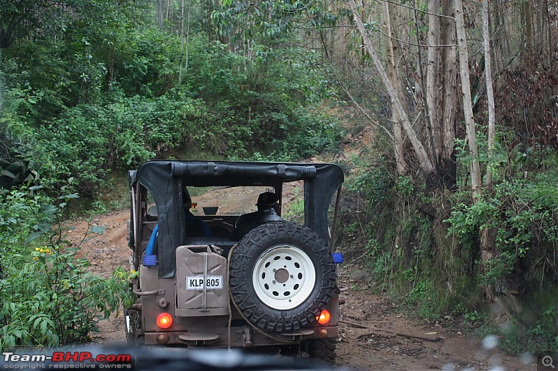 Munnar Monsoon Magic! Updated!-mmm23.jpg