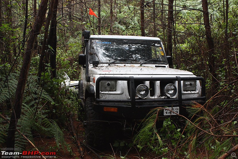 Munnar Monsoon Magic! Updated!-mmm96.jpg