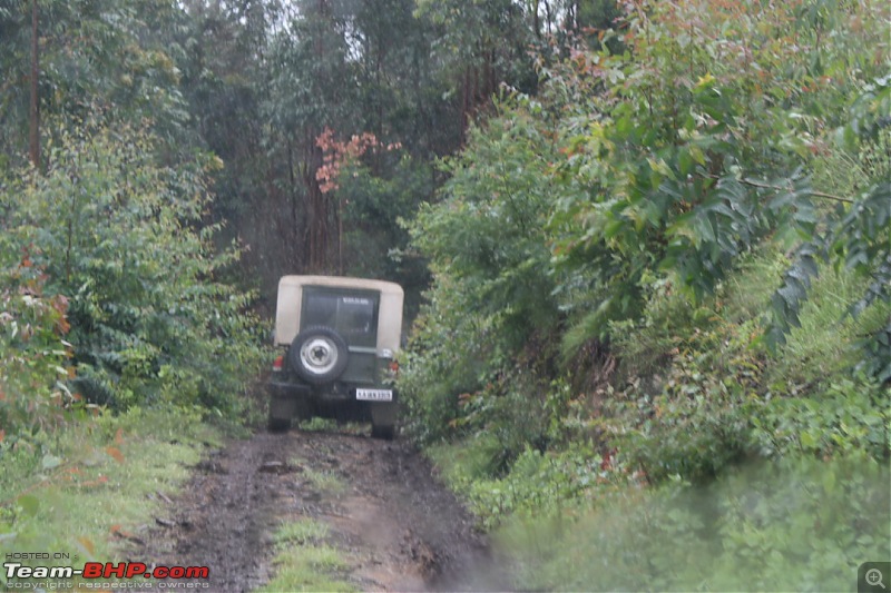 Munnar Monsoon Magic! Updated!-mmm175.jpg