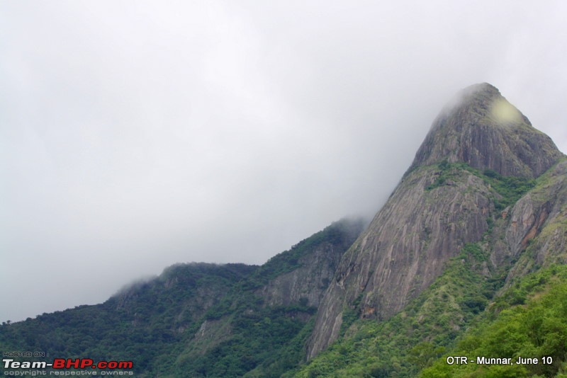 Munnar Monsoon Magic! Updated!-img_6755.jpg