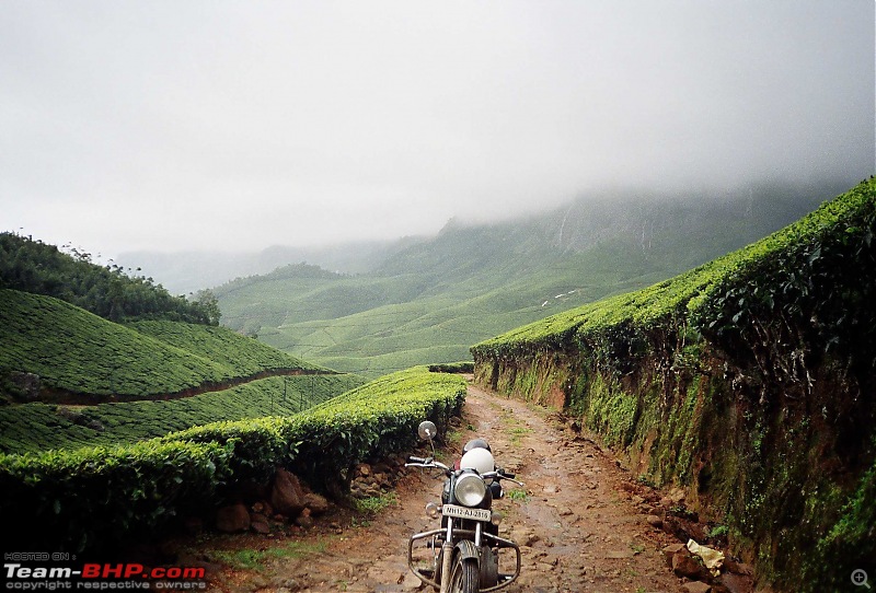 Munnar Monsoon Magic! Updated!-r003030.jpg