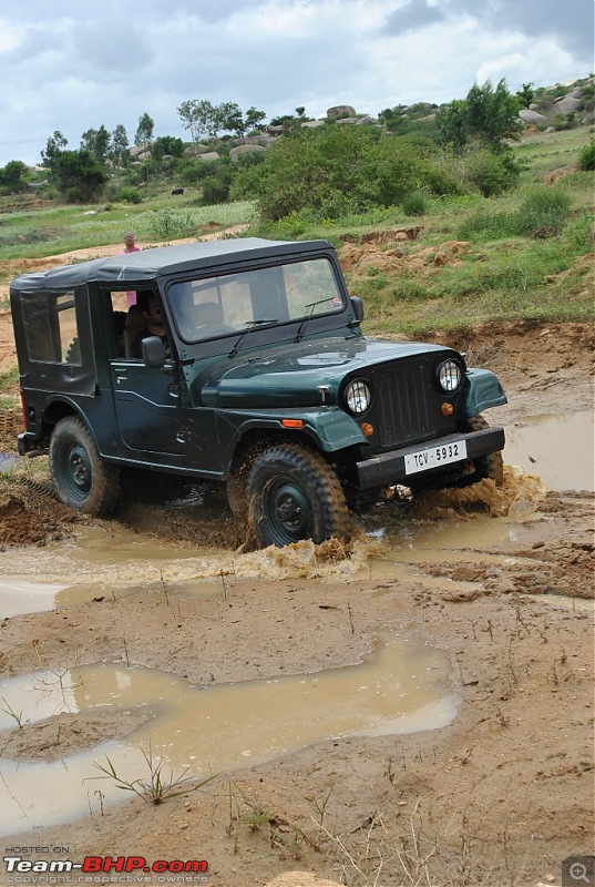 Babies Day Out - Hosur OTR Report - 3-Jul-10-wolf-makes-easy-entry-exit.jpg