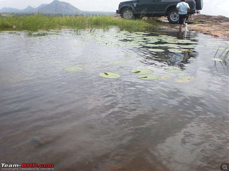 Of Jeep's, Gypsy, Landy and a L&T Komatsu - OTR/Recee (Off Kanakpura) - 11Jul2010-lotus-pond.jpg