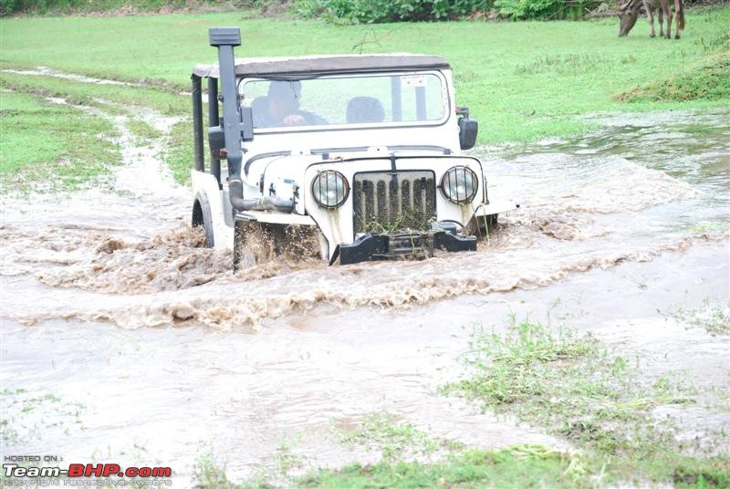 Mud Plungers Goa (Valpoi)-dsc_3798-medium.jpg