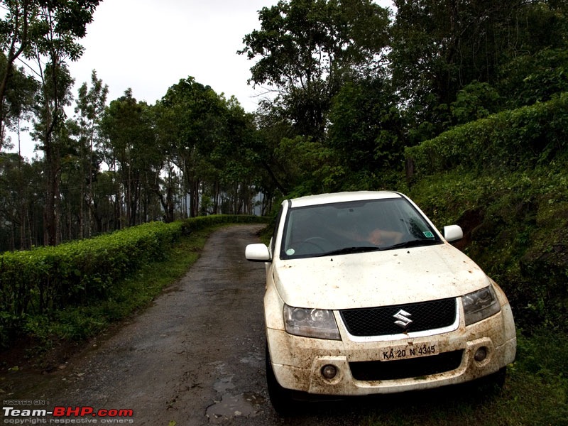 Muthodi Forest Drive: The post-OTR meet that became part-OTR meet-p8171553.jpg