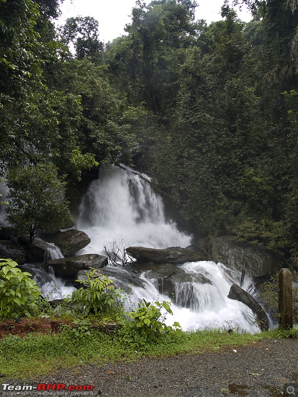 Sharavathy Valley OTR-_7246394.jpg