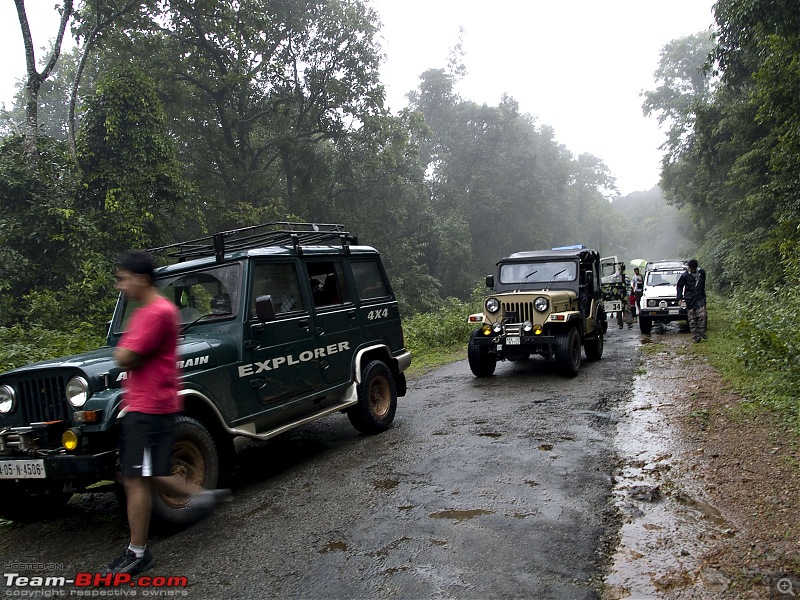 Sharavathy Valley OTR-_7246401.jpg