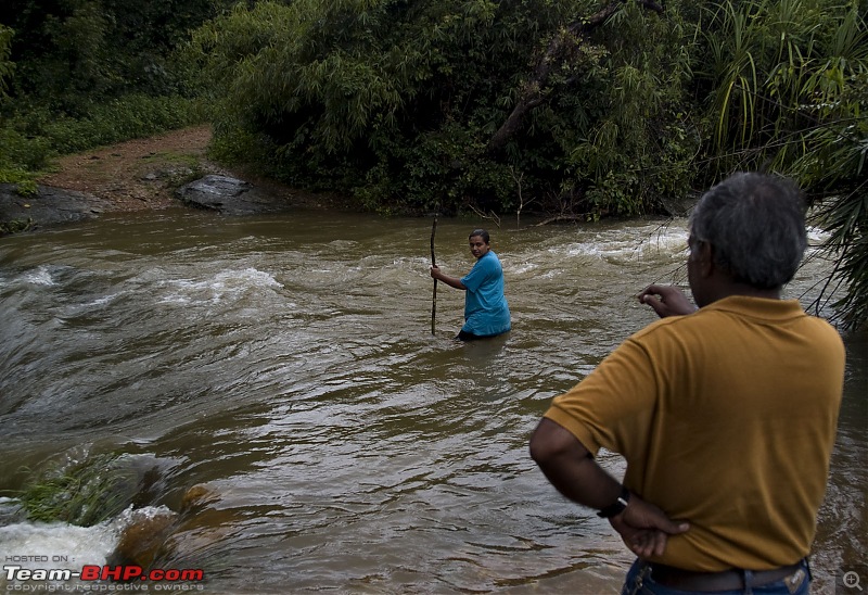 Sharavathy Valley OTR-_7246404.jpg