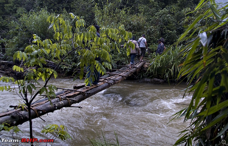 Sharavathy Valley OTR-_7246406.jpg