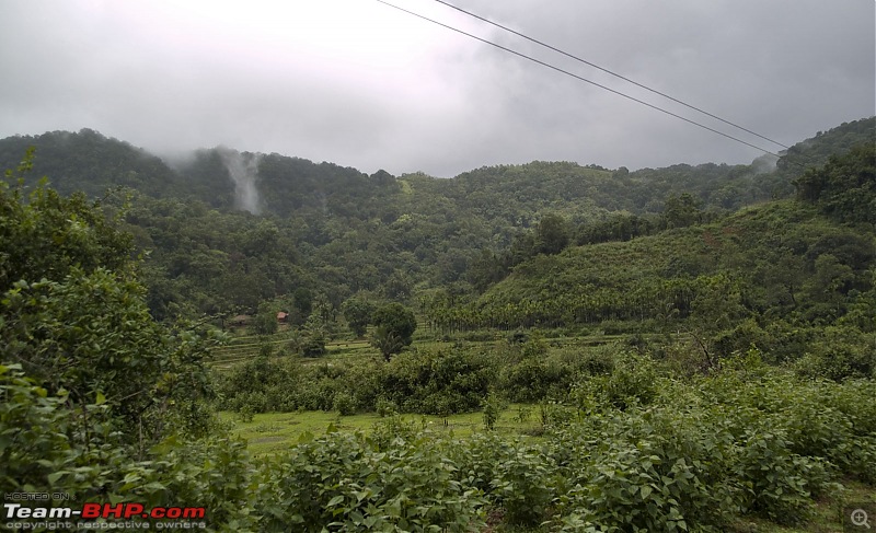 Sharavathy Valley OTR-_7246411.jpg