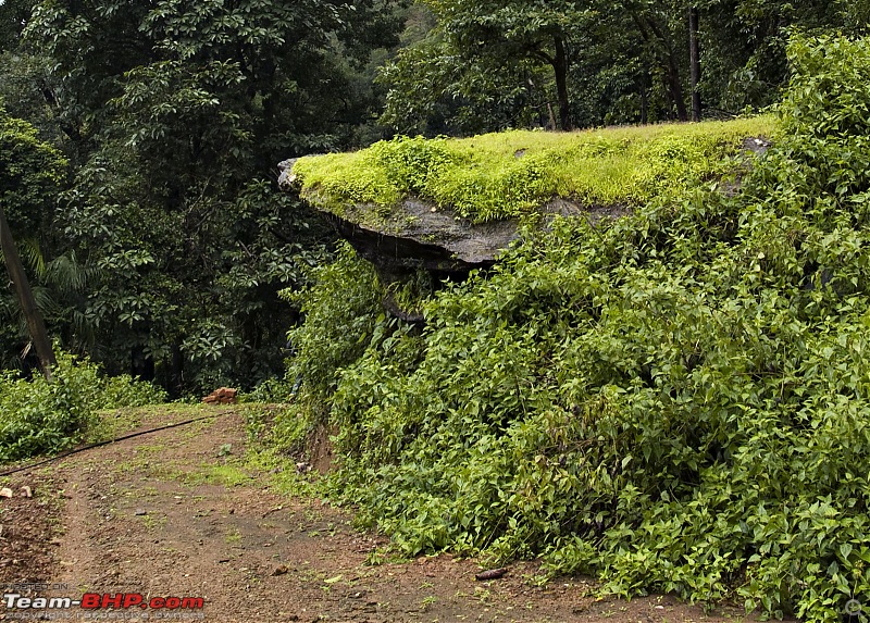 Sharavathy Valley OTR-_7246416.jpg