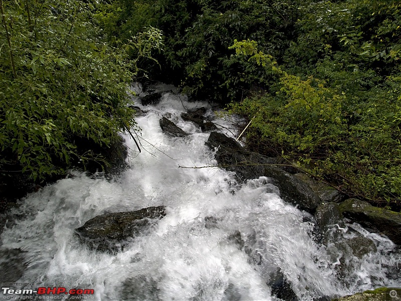 Sharavathy Valley OTR-_7246423.jpg