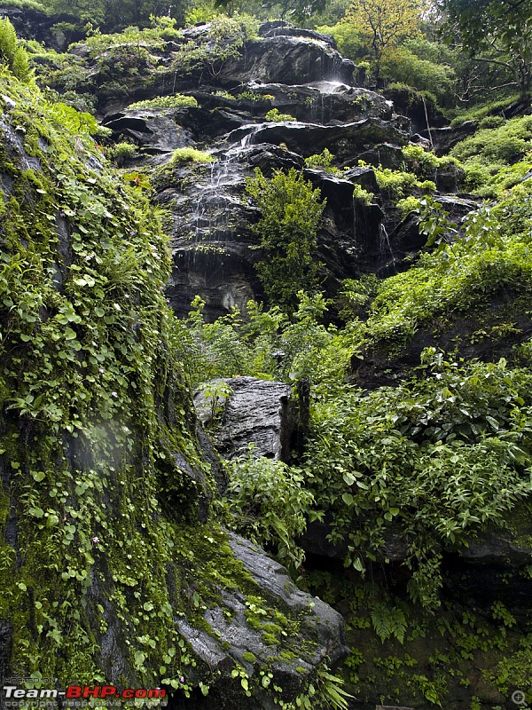 Sharavathy Valley OTR-_7246428.jpg