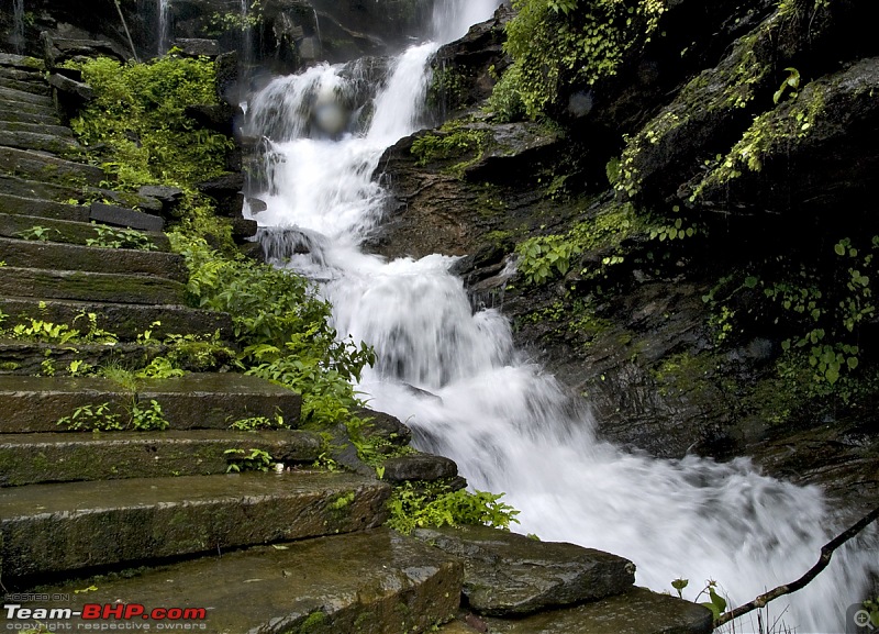 Sharavathy Valley OTR-_7246435.jpg