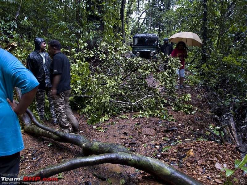 Sharavathy Valley OTR-_7246442.jpg