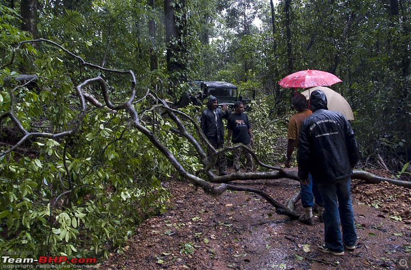 Sharavathy Valley OTR-_7246444.jpg