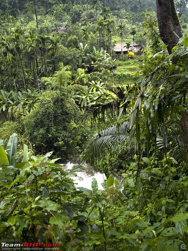 Sharavathy Valley OTR-_7256484.jpg