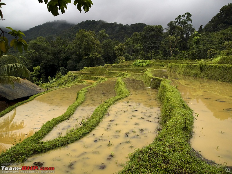 Sharavathy Valley OTR-_7256485.jpg