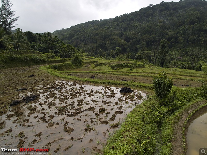 Sharavathy Valley OTR-_7256488.jpg