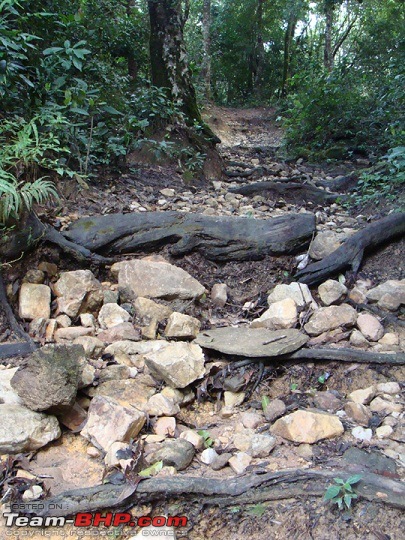 Auto Track Off-Road Adventure-13.11.2010, Balehonnur.-dsc01718a.jpg